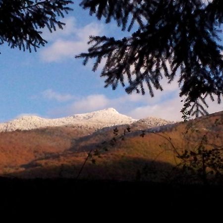La Pyrène Maison de vacances Ore  Esterno foto